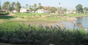 תמונה של גינוסר