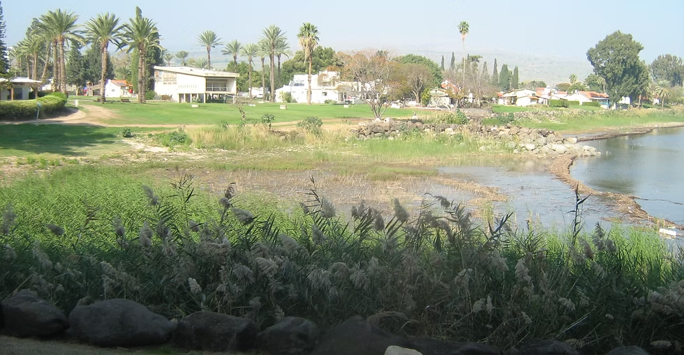 תמונה של גינוסר