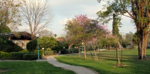 תמונה של אשדות יעקב מאוחד