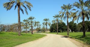 תמונה של קיבוץ האון