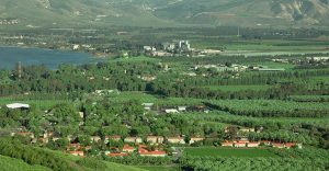 תמונה של קבוצת כנרת