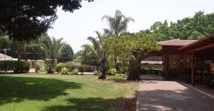 תמונה של מסדה