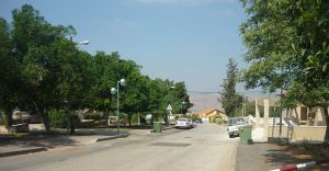 תמונה של פוריה נווה עובד