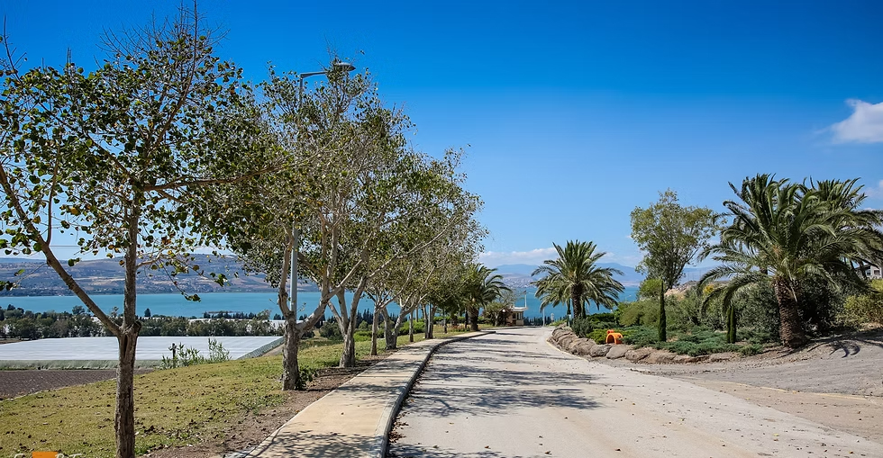 תמונה של תל קציר